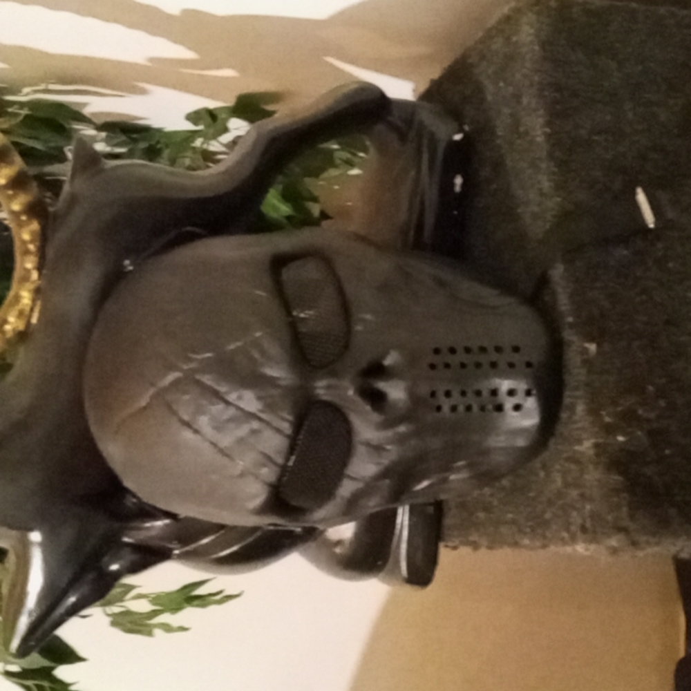 Predator mask
